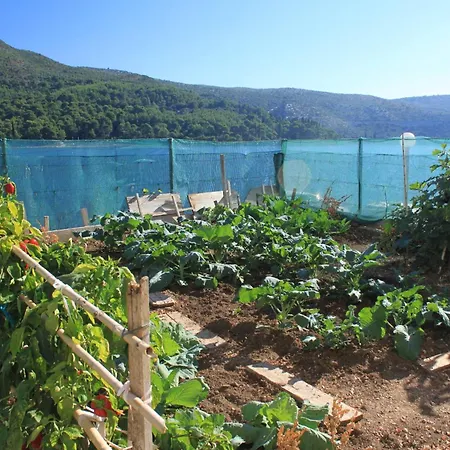 By The Sea Slano, Dubrovnik - 8741