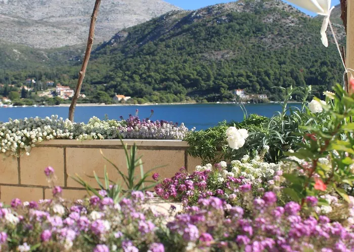 Apartment By The Sea Slano, Dubrovnik - 8741