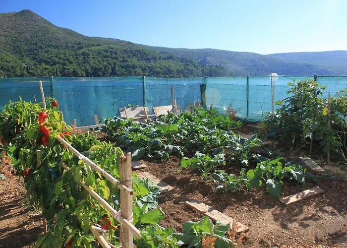 By The Sea Slano, Dubrovnik - 8741