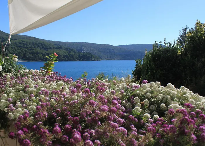 Apartment By The Sea Slano, Dubrovnik - 8741 *